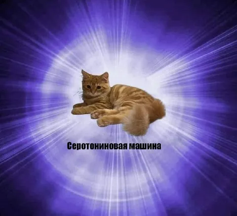 Серотониновая машина