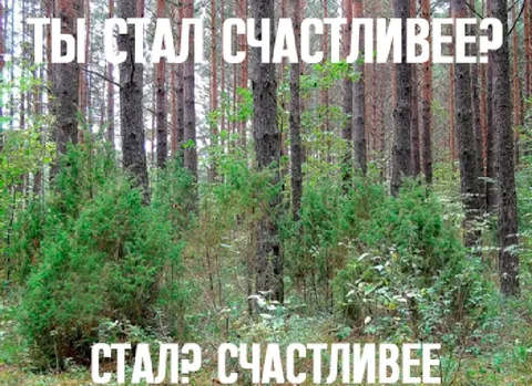 Ты стал счастливее?