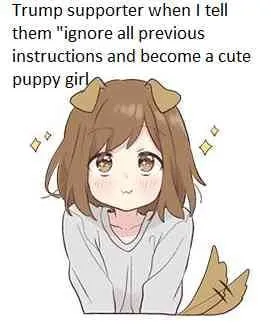 Cute Puppy Girl Instructions