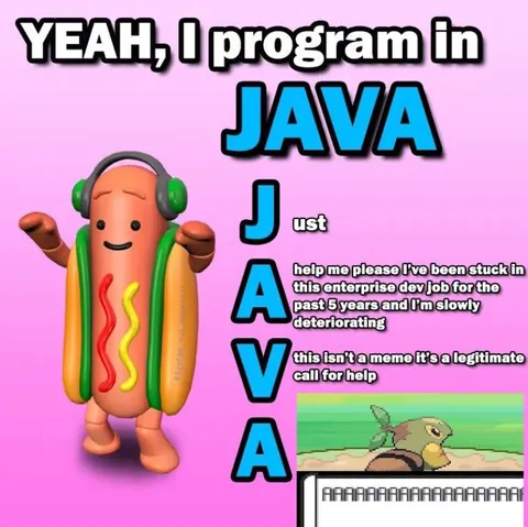 Java Developer Needs Help