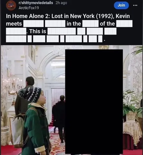 Home Alone 2 Redacted Details