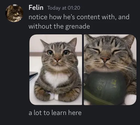 Content With or Without Grenade
