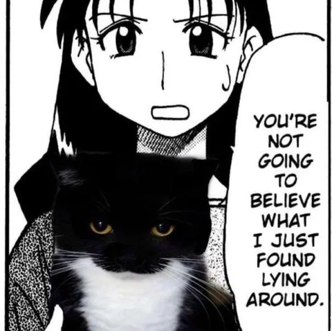 You’re Not Going to Believe What I Found