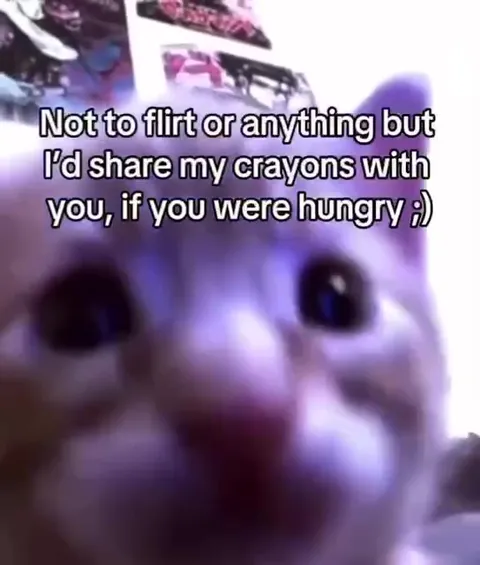 Cat Shares Its Crayons