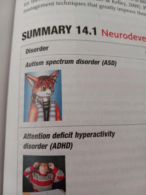 Autism and ADHD Textbook Summary