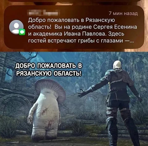 Добро пожаловать в Рязанскую область