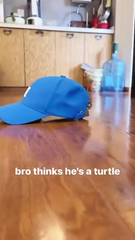 Bro Thinks He’s a Turtle