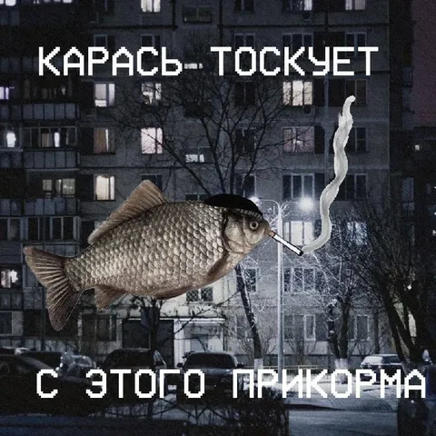 Карась тоскует с прикорма