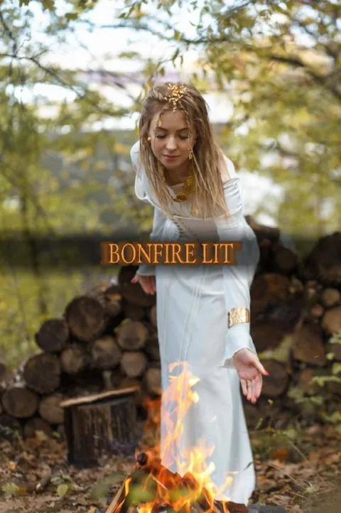 Bonfire Lit in the Forest