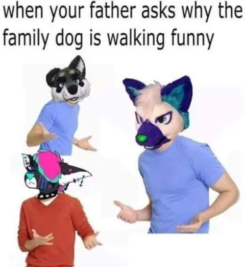 Family Dog Walking Funny