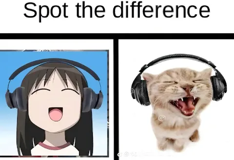 Spot the Difference Headphones
