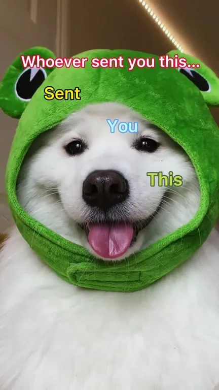 Sent You This For No Reason