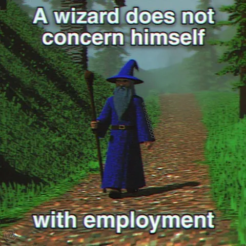 A Wizard Does Not Concern Himself