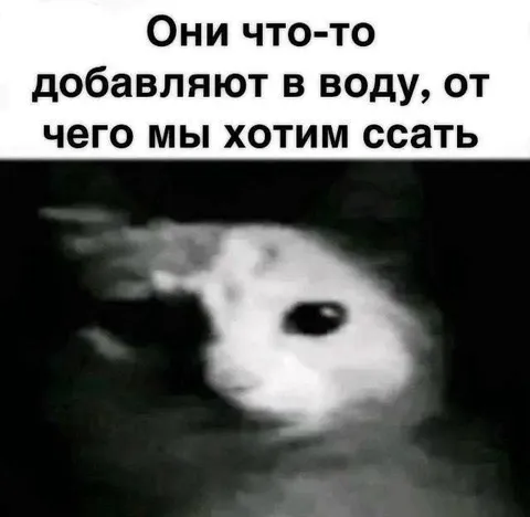 Кролик узнал правду о воде