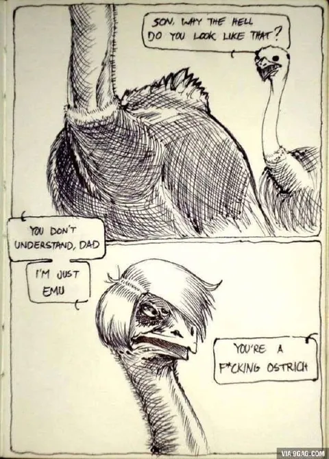 Son, Why Do You Look Like That?