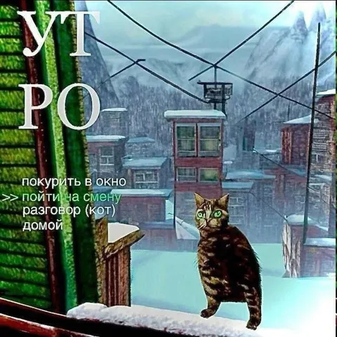 Кот утром перед сменой