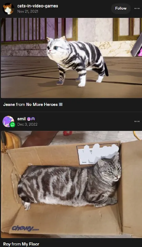 Jeanne and Roy Floor Cats