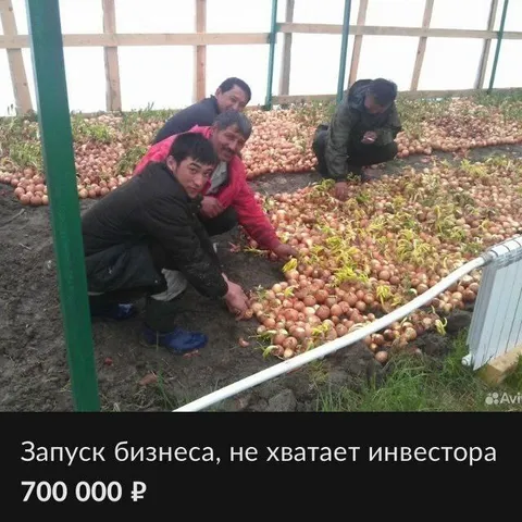 Не хватает инвестора для бизнеса
