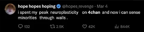 Peak Neuroplasticity on 4chan
