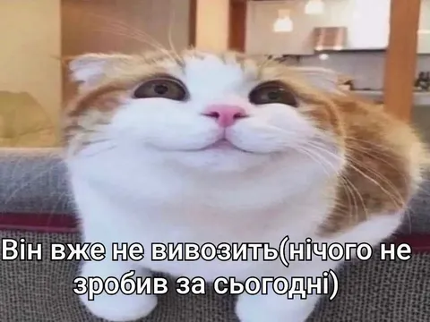 Кіт нічого не зробив за сьогодні