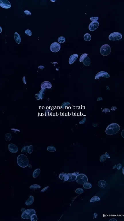 No Organs, Just Blub Blub