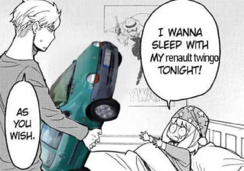 I Wanna Sleep With My Twingo