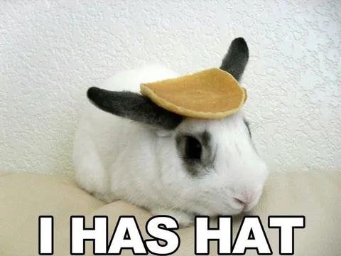 Rabbit Pancake Hat