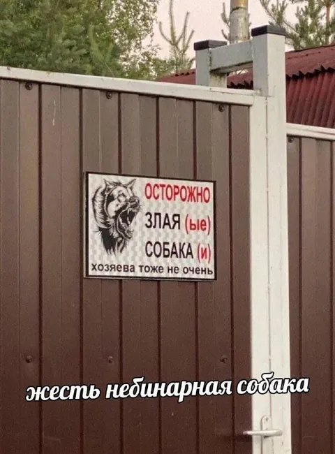 Небинарная злая собака