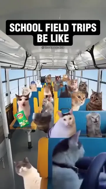 School Field Trips Be Like