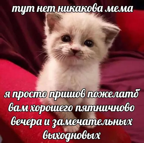 Хорошего пятничного вечера