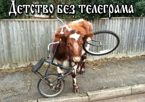 Детство без телеграма