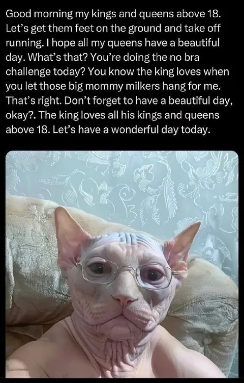 Good Morning Kings and Queens