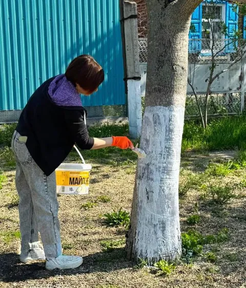 Покраска дерева майонезом
