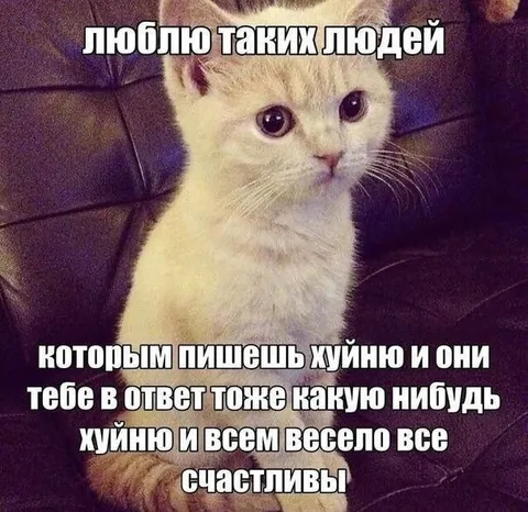 Люблю людей с такой реакцией