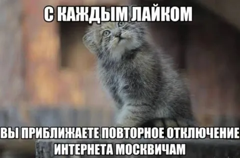 Каждый лайк отключает интернет