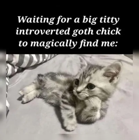 Big Tiddy Goth Chick