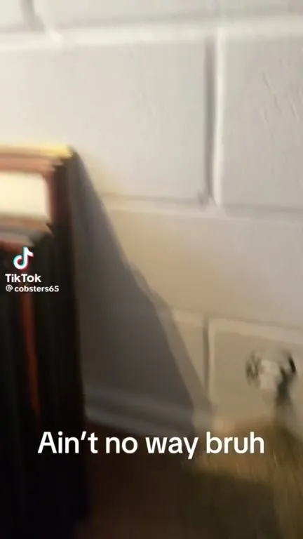 Vacuum Finds a Secret Lava Level