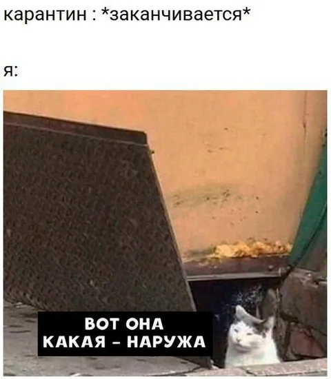 Карантин заканчивается, я наружу