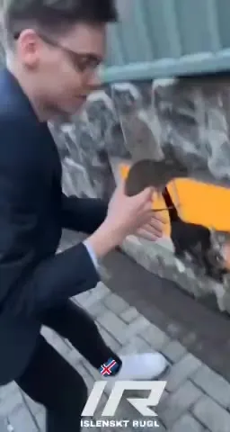 Мужчина нашёл крысу