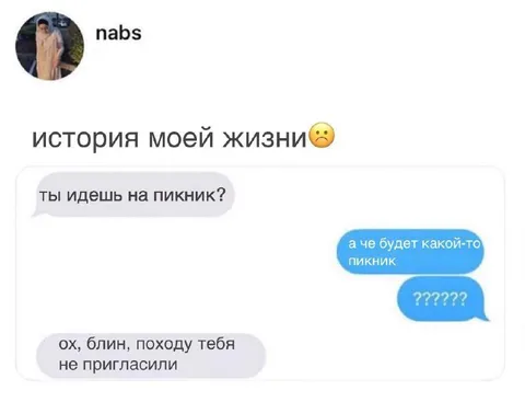 История моей жизни про пикник