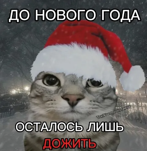 Осталось лишь дожить до Нового года