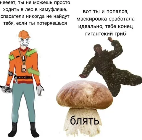 Маскировка сработала идеально