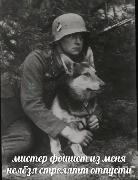 Мистер фошист, отпусти