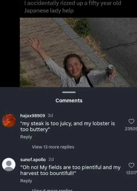 Accidentally Rizzed Up a Japanese Lady