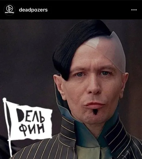 Дельфин с серьёзным лицом