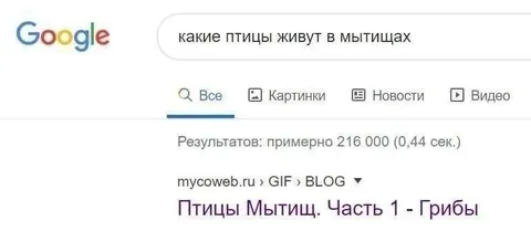Птицы живут в Мытищах