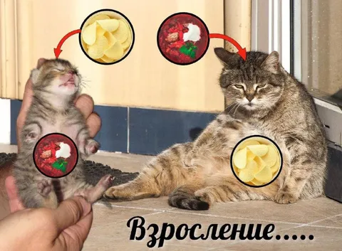 Взросление и смена вкусов
