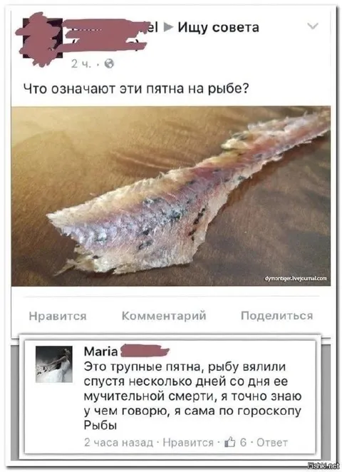 Трупные пятна у рыбы по гороскопу