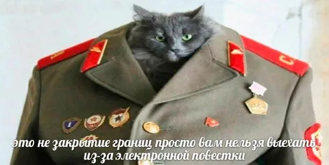 Электронная повестка не выпускает