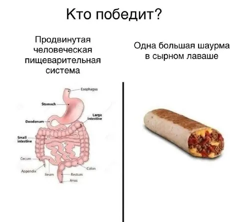 Кто победит: система или шаурма